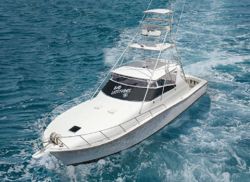 Magnetic Window Shades for Yachts
